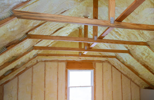 Best Spray Foam Insulation in Fremont, NC
