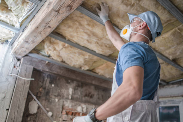 Best Eco-Friendly Insulation in Fremont, NC