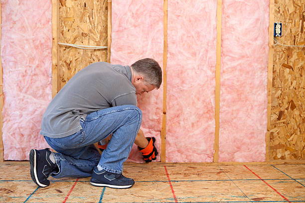 Best Geographic-Specific Insulation Services in Fremont, NC