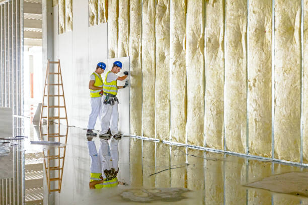 Best Residential Insulation in Fremont, NC